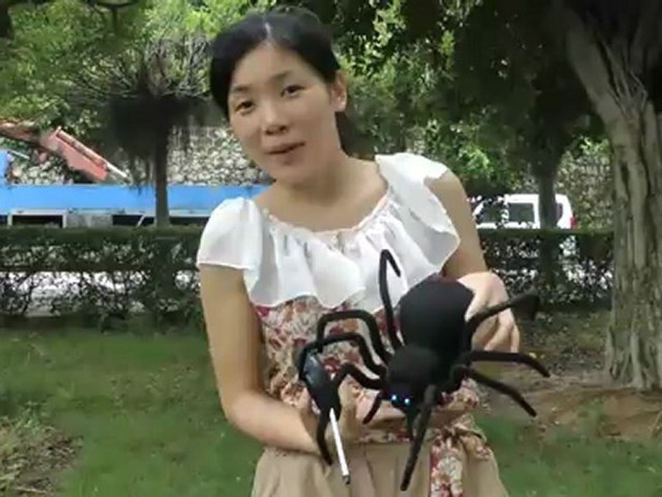 Spider-139158