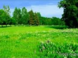 The Pomeroys Green Pastures With Wavelene Ward