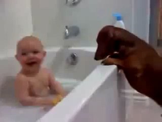 Ufaklığın Köpek ile Keyifli Zamanı