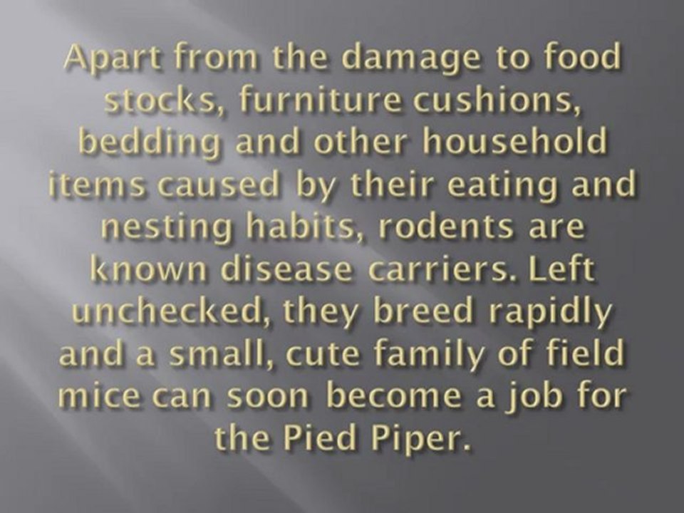 Owners and Tenants Benefit from Regular Pest Treatments on Rental Properties