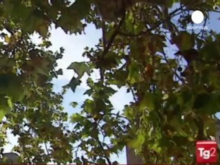 İtalya'da şiddetli yağışların faturası kabarıyor