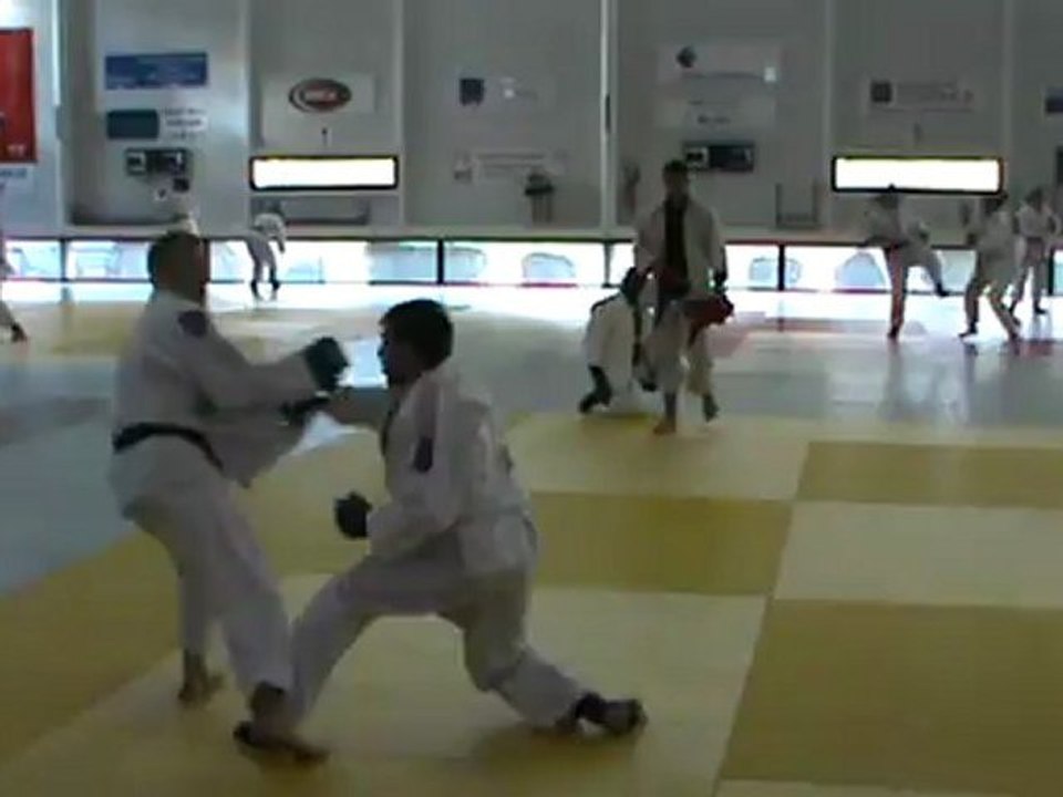 Jujitsu Rollin Philippe