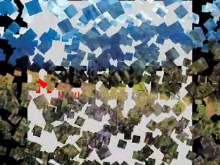 mobile data collection