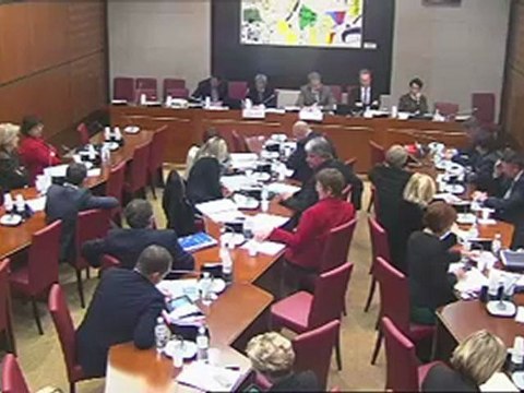 Commission des affaires culturelles : Avis et vote des crédits 2013 - Action extérieure de l'Etat ; Sport, jeunesse et vie associative