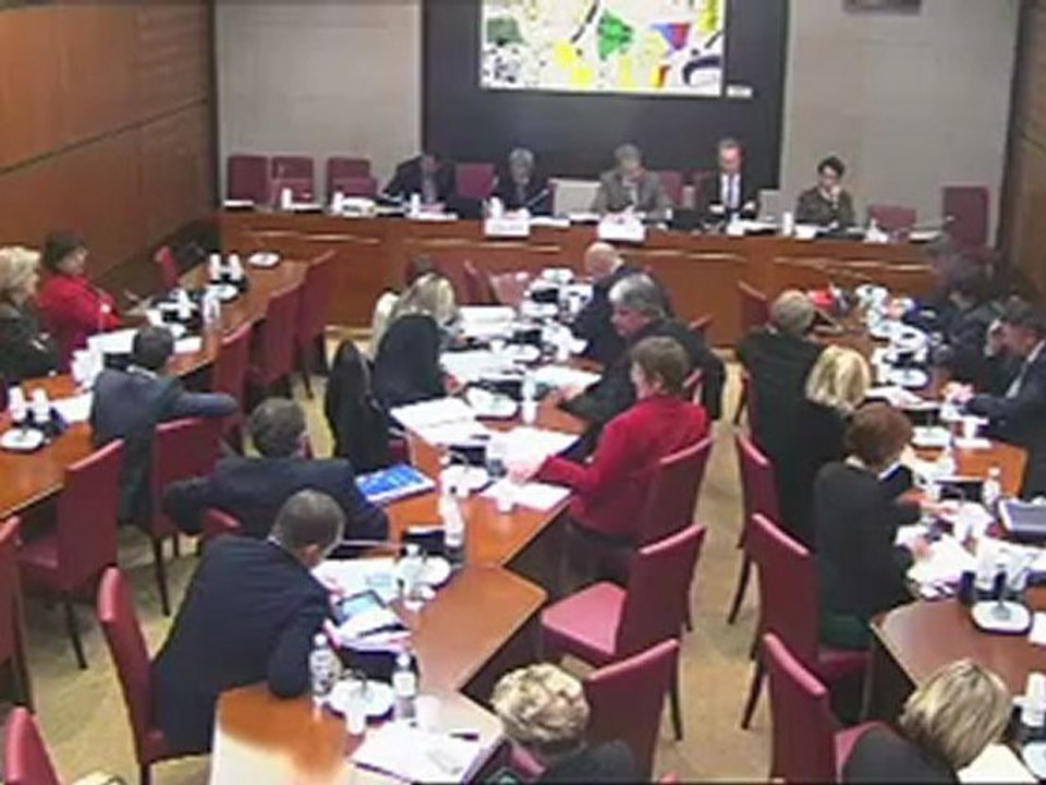 Commission des affaires culturelles : Avis et vote des crédits 2013 - Action extérieure de l'Etat ; Sport, jeunesse et vie associative