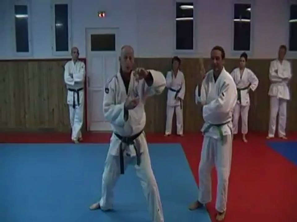 Jujitsu Rollin Philippe