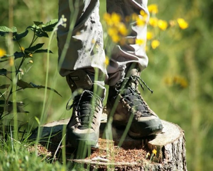 Nature or human beings?