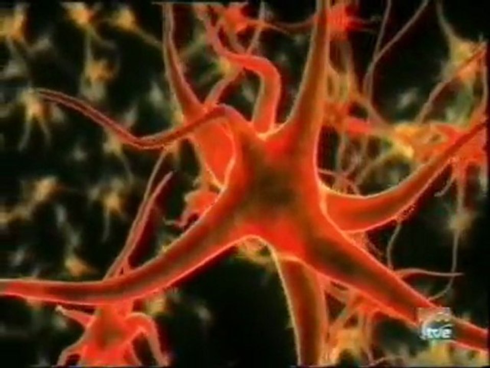 Envejecimiento cerebral