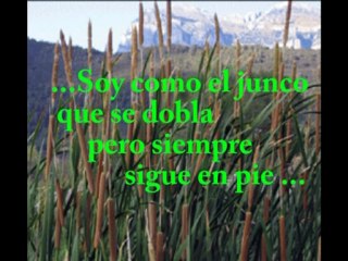 RESISTIRE Video sobre el complot a GUILLERMO CAPELLAN