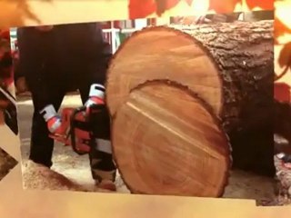 First Choice Tree Service (864) 247-4181