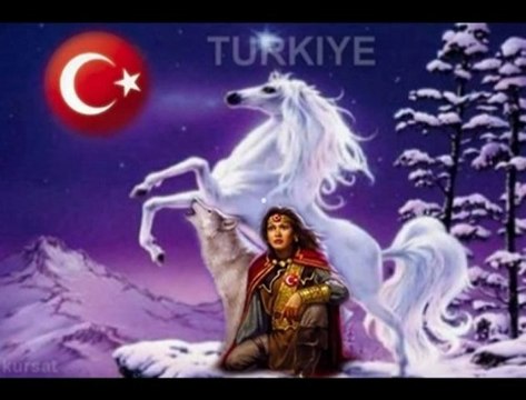 PUSLU GÖZLÜMcCc ALİ REİS cCc