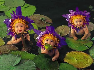 Les Bébés, de Anne Geddes ♥_♥