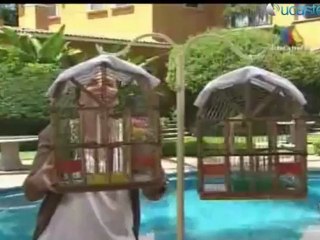 LOCDA Historia Remedios- Marcos Capitulo 2 Parte 1