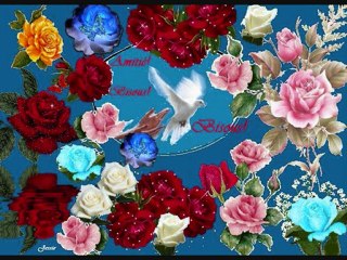 Accepter d'être Aimée et d'Aimer de Jessie JW