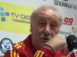 DelBosquesobreelfutbolame