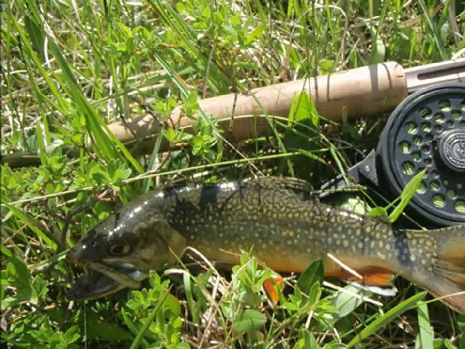 FILM SAVOIE AVENTURE PËCHE Déstination mouche