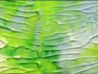 Clap Your Hands Say Yeah - Hysterical