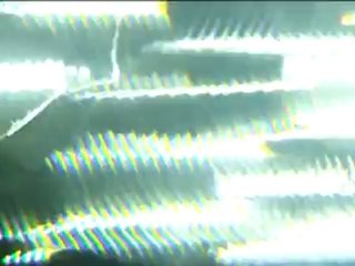 White Rabbits - Temporary