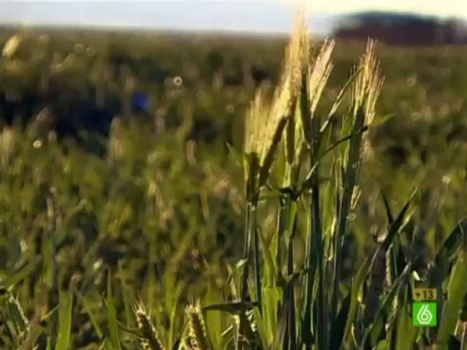 Crímenes imperfectos ricos y famosos - Capítulo 47 (1_3) (2)