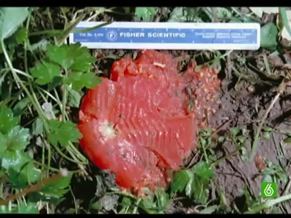 Crímenes imperfectos - Capítulo 311(1_2)