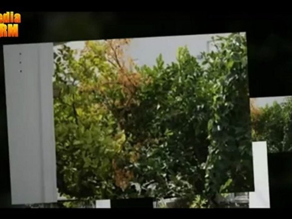 Einfamilienhaus zum Verkauf in Attica direkt vom Eigentümer