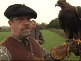 Découverte de la chasse au vol (Vendée)