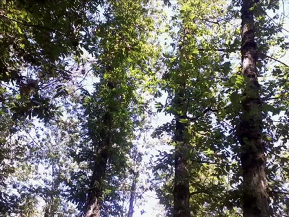 San Vito Romano - Presentazione del paese per immagini