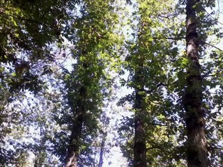 San Vito Romano - Presentazione del paese per immagini