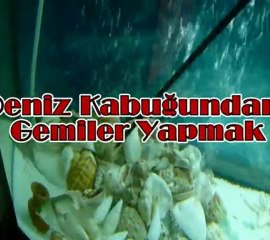 Deniz Kabuğundan Gemiler Yapmak - Moğollar Iklığ