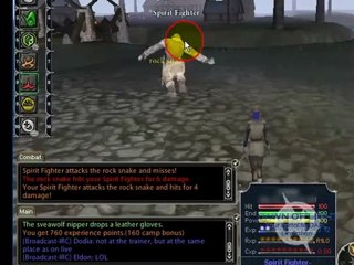 GameTag.com - Buy and Sell DAoC Account - DAoC Guide - How to Use a Pet