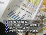 ガイナーレ鳥取　経済波及効果 大幅ダウン