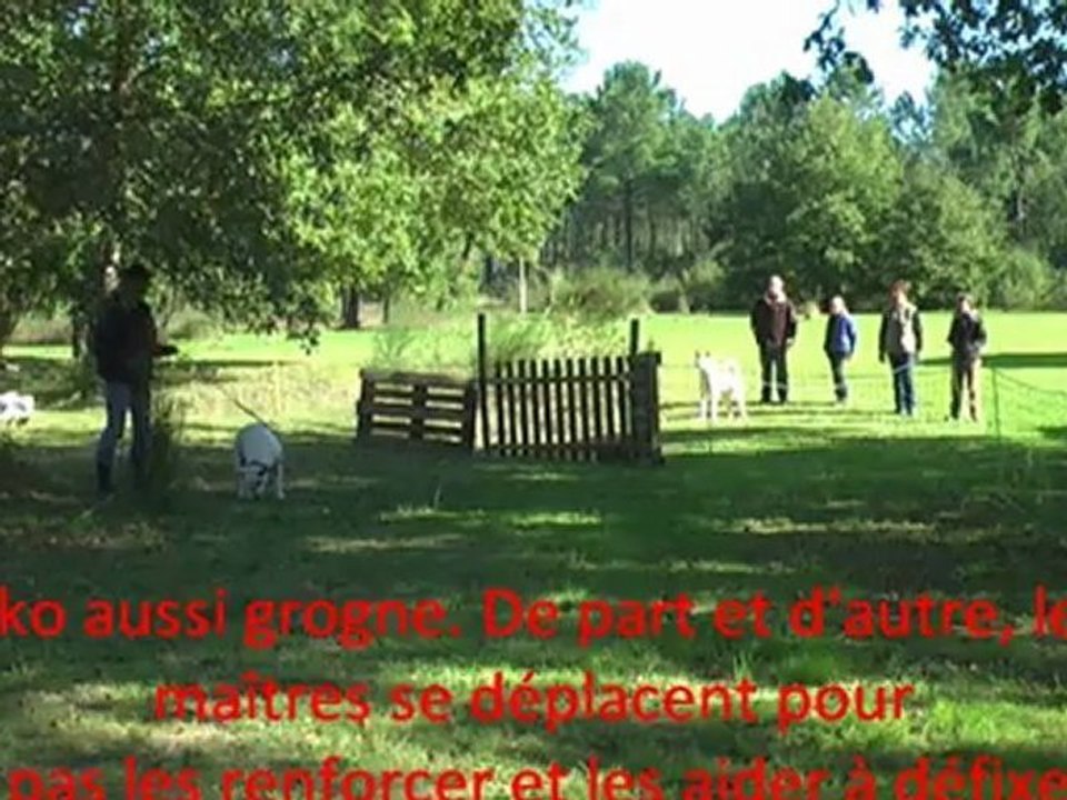 portail Skarfey-Aïko