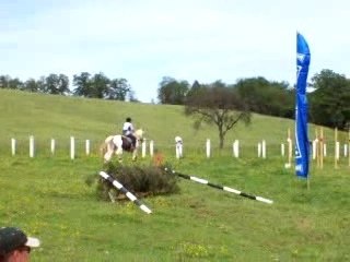 Haie + branches basses