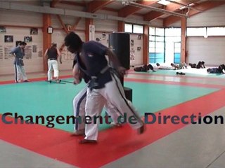 Hashakuken Nidan - n3 - Gérard LHOMME