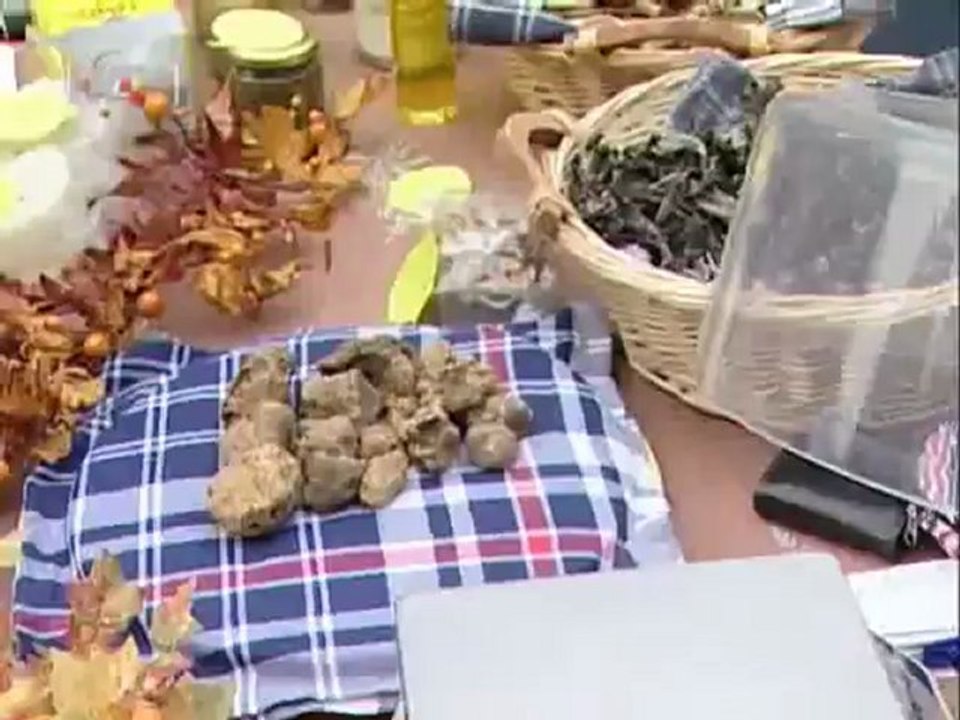 Gljivarstvo kao izlaz iz krize