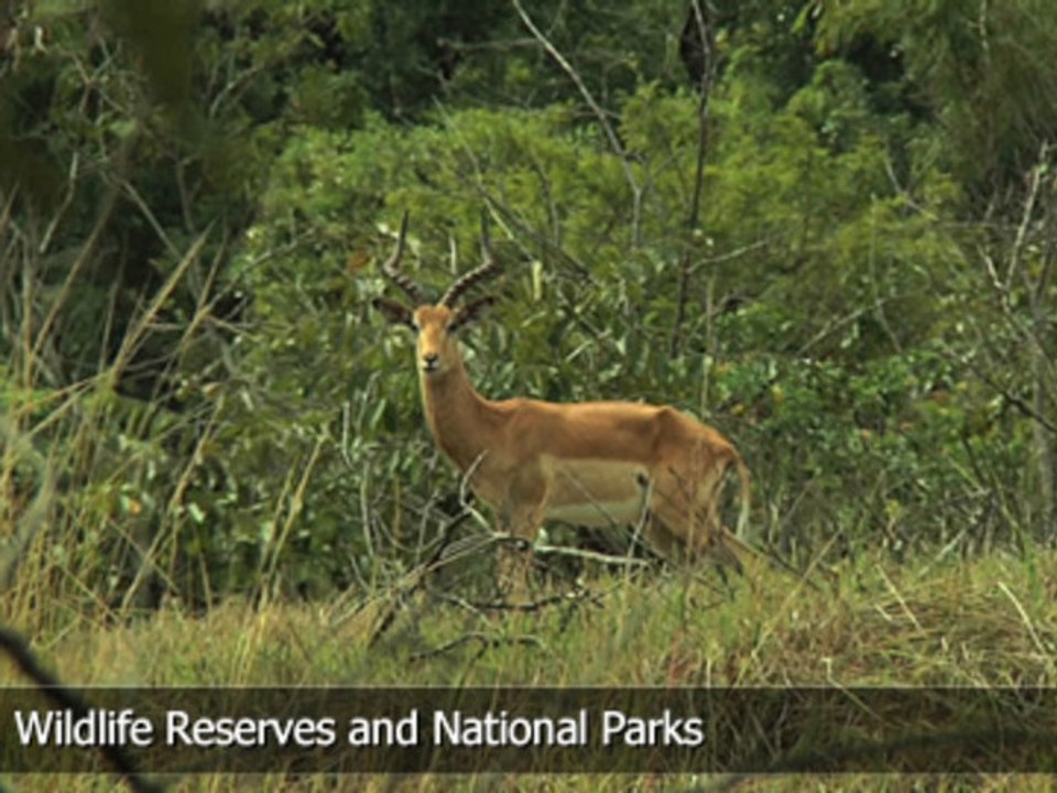 Malawi: Wildlife Reserves and National Parks
