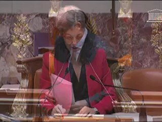 Intervention Dominique TIAN - PLF 2013 - Budget santé