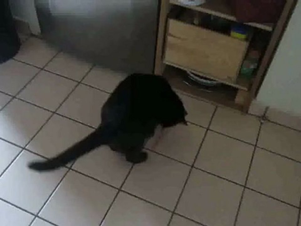 Sidonie s'amuse avec un ruban