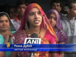 Коровы бегут по спинам набожных индийцев