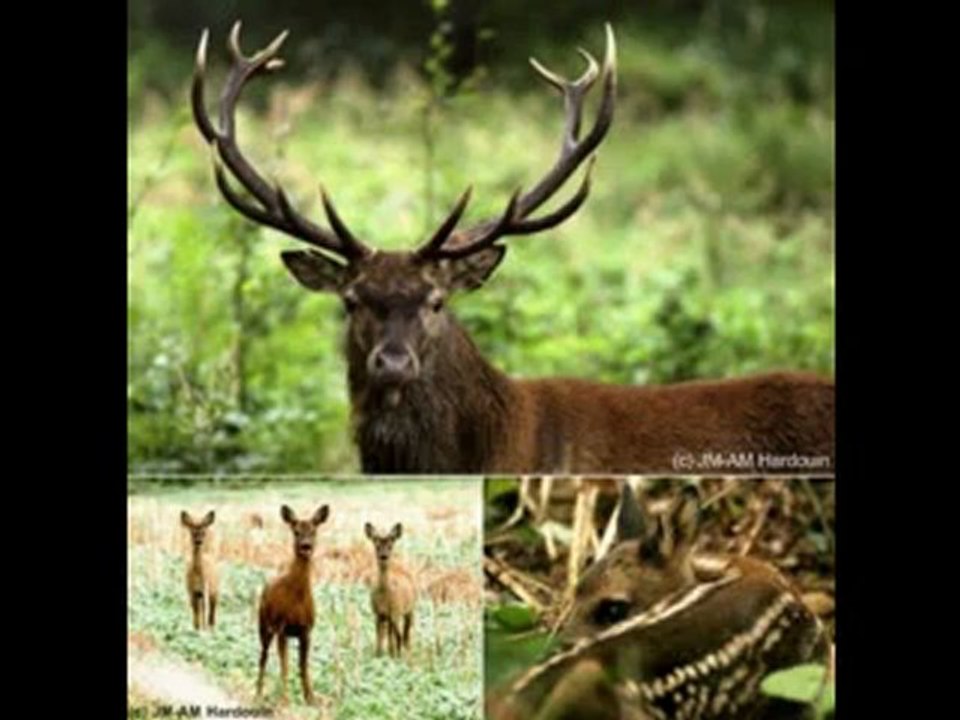 Sans titre_20121114_202419