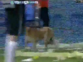 Minutouno.com: La lesión de Mercado