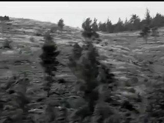 Langue sacrée, langue parlée
