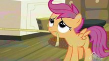 My Little Loo 12