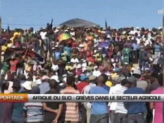 Afrique du sud: Les grèves s’étendent au secteur agricole