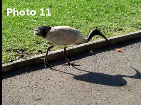 Concours photos novembre brezoland