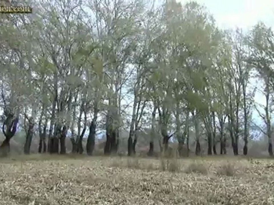 Tovoion News Channel ΝΕΑΠΟΛΗ ΒΟΪΟΥ-ΦΘΙΝΟΠΩΡΙΝΗ ΒΟΛΤΑ ΣΤΟ ΝΗΣΙ 15-11-2012