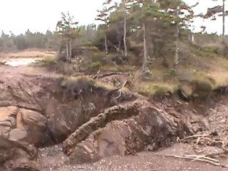 M2U02873  mer   dechainer    de   pabos   mills   gaspesie