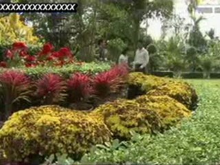 VongKimLang_34-mietmai