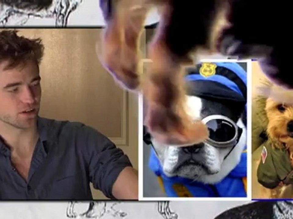 'Ruff Decisions' With Robert