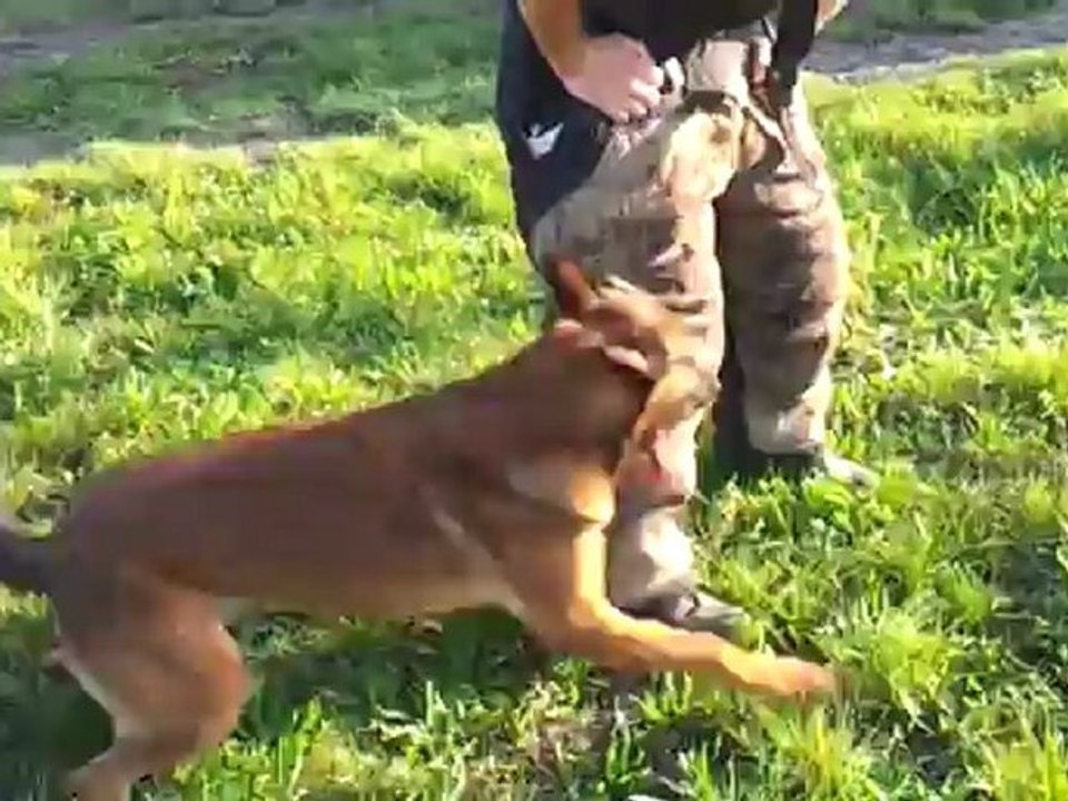 video-2012-11-15-15-18-06